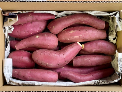 訳ありでもシットリ甘い！「シルクスイート」色々なサイズ入り  5キロ箱