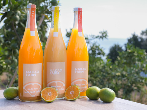 【佐賀県投稿キャンペーン対象商品】ごくごく飲んでみらんね!!みかんジュース3本セット（720ml×3）