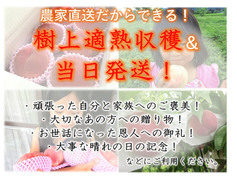 【有機栽培の美味しい浅間白桃約2kg】自然に優しく希少でジューシーな天然桃(6～7個入)！