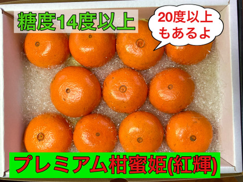 【冬ギフト】絶品！高級品種！　美味しさ間違いなし津之輝（L・2L)2kg
