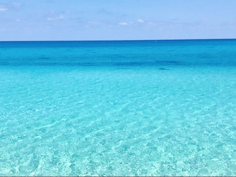 ねこみかん様専用出品