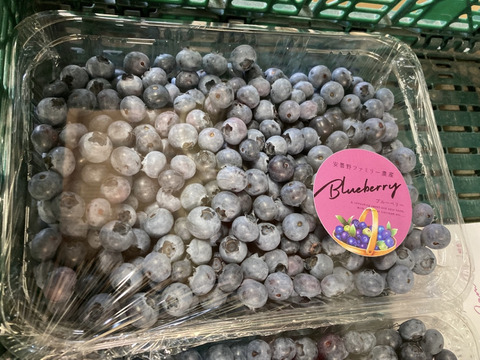 受付停止 大人気つみたてブルーベリー約1キロ【大小ミックス】 商品ID123456 【栽培期間中農薬不使用】旬 生食用 加工用