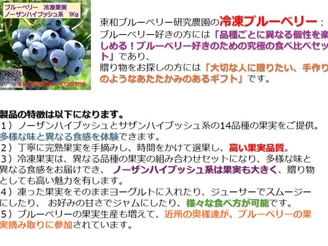 冷凍ブルーベリー：ノーザン系1Kg