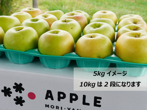 【期間限定】大豊作還元セール！特別栽培🍏葉とらずりんご5kg 大特価！