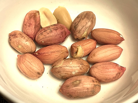 最高級品種「千葉半立落花生」殻付き・生・天日乾燥（煎り落花生用） 群馬県産  160 g