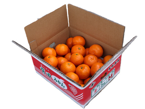【冬ギフト】農家直送！有田みかん3kg≪Mサイズ 秀品≫【平武農園】～蛍飛ぶ町から旬の便り～　和歌山｜有田｜田口｜ギフト｜こだわり　産地直送　お取り寄せ
