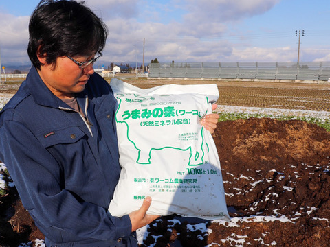 【ササニシキ 玄米10kg】【令和4年9月22日より収穫】山形置賜飯豊　希少育成困難品種