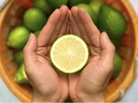 【訳ありだけど美味しさそのまま】グリーンレモン 2kg【防腐剤・ワックス不使用】