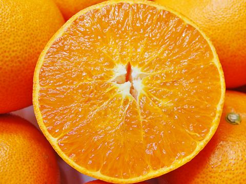 食べ比べ【数量限定☆希少の高級柑橘🎁】せとか１㎏&(麗紅)れいこう１㎏🍊