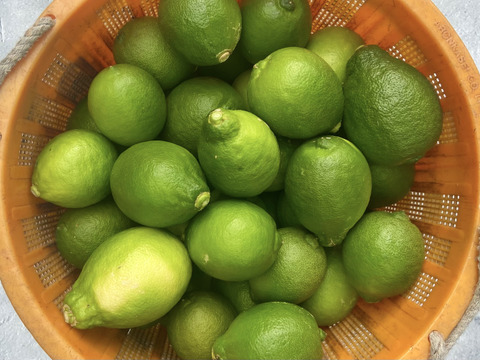 【訳ありだけど美味しさそのまま】グリーンレモン 10kg【防腐剤・ワックス不使用】