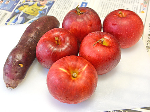 昔懐かしの『紅玉』　山形県朝日町和合平産　2キロ