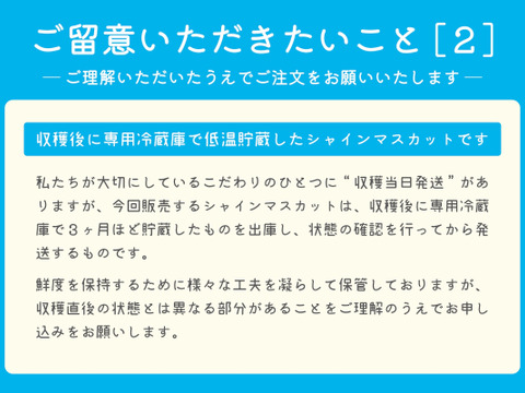 ■訳あり■冬に味わうシャインマスカット！低温貯蔵２房セット