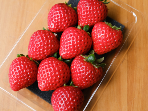 【売り切れ】　【限定100セット】いちごグランプリ受賞いちご食べ比べ便【Aコース】（食べチョク公式）