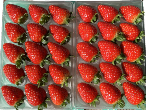 奈良県産 古都華L 270g (15粒)×２P