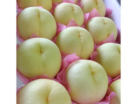 岡山白桃シリーズ随一の高糖度！【川中島白桃・白皇】（ご家庭用・約2kg）