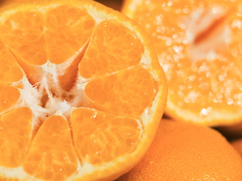 【甘味と酸味のバランスが絶妙】ポンカン 2kg 愛媛県産 家庭用 ぽんかん