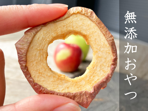 【全国一律送料360円】特別栽培りんごを干しただけ🍎干しりんごプチサイズ20g×2袋　お試しパッケージ新登場✨