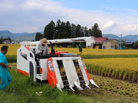 令和５年 つや姫　玄米20kg 生産者直送