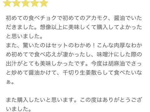 玄界灘産  天然 塩蔵 わかめ１２袋