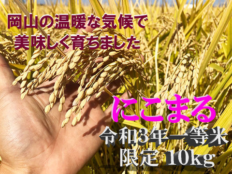 限定10名 新米10キロ 令和3年一等米 品種 にこまる 玄米 晴れの国 岡山 お米好きにはたまらない もらって嬉しいお米 お宝米 一級品 お米の虜 ギリギリ価格 岡山県産の玄米 食べチョク 産地直送 産直 お取り寄せ通販 農家 漁師から旬の食材を直送 限定10名 新米10キロ 令和3年一等米 品種 にこまる 玄米 晴れの国 岡山 お米好きにはたまらない もらって嬉しいお米 お宝米 一級品 お米の虜 ギリギリ価格 岡山県産の玄米 食べチョク 産地直送 産直 お取り寄せ通販 農家 漁師から旬の食材を直送