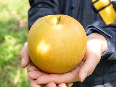 【売り切れ】 【限定100セット】秋のご褒美セット便（食べチョク公式）