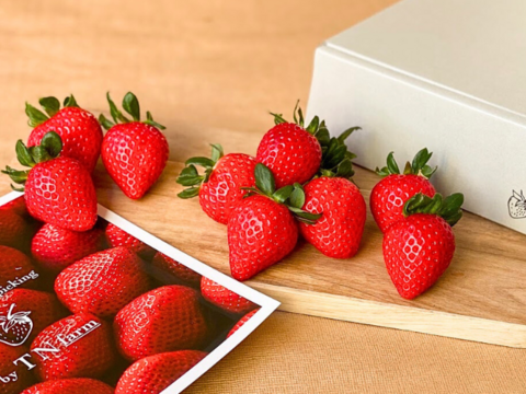 【売り切れ】 【限定200セット】感動の美味しさ！とっておき果実便※あまりん1月下旬〜2月中旬お届け（食べチョク公式）