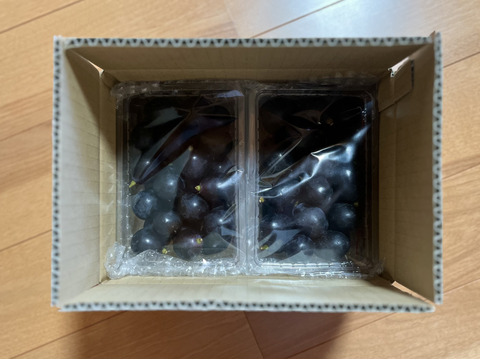 信州オリジナル【ナガノパープル】粒ぶどう：700g [Np2]