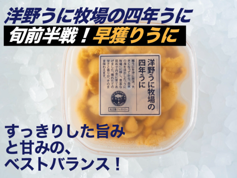 洋野うに牧場の四年うに(塩水パック)100g/1パック