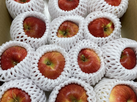 🍎幻の夏りんご🍎夏あかり 3キロ箱 小玉品種〜18玉 商品ID40928 長野県 信州 安曇野 リンゴ 幻 幻のリンゴ 予約 希少 旬