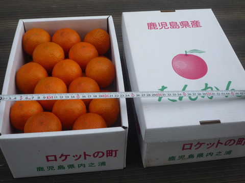 Ｌ玉30個入り5キロ箱　年間平均気温18度の鹿児島県大隅半島で育てた香り豊かなタンカン