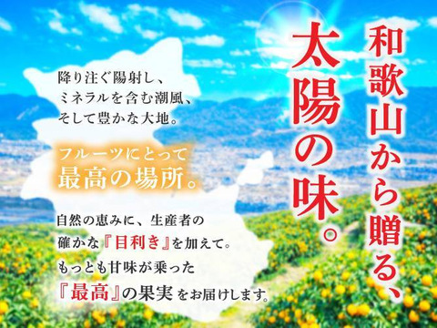 朝採れ、完熟収穫いちご　まりひめ　1000g (250g × 4p)