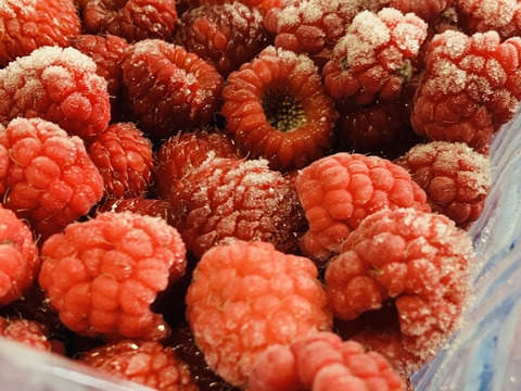 冷凍ラズベリー約1キロ 【栽培期間中農薬不使用】冷凍 ジャム 加工用 商品ID77302