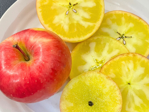 【売り切れ】 【限定200セット】感動の美味しさ！とっておき果実便※あまりん1月下旬〜2月中旬お届け（食べチョク公式）