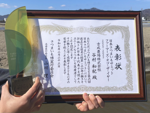 ほくほく食感と上品な甘さ！なると金時(中サイズ)15kg