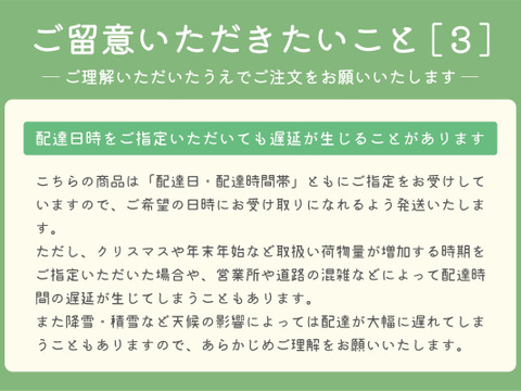 ■低温貯蔵■冬に味わうシャインマスカット２房セット