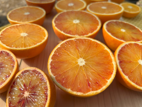 【濃厚な甘みと爽やかな酸味】静岡県浜松産『ブラッドオレンジ（タロッコ種）』３㎏（サイズいろいろ）