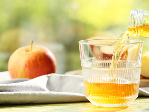 特別栽培りんごの無添加ジュースと干しりんごＬセット　原材料はりんごのみ🍎農薬半減栽培
