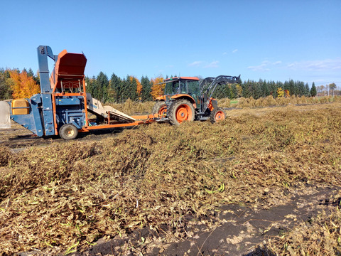 北海道十勝産【栗豆・虎豆・大福豆】よりどり合計870gセット＊組み合わせ自由＊令和7年度産