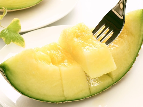 【販売終了】【限定200セット】メロンの食べ比べ便（食べチョク公式）