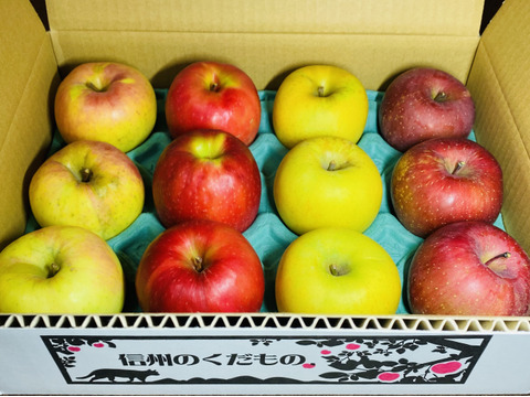 【食べ比べ】リンゴ詰め合わせ！　希少品種も🍎3キロ箱　7〜15個商品ID48414