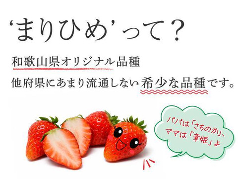 朝採れ、完熟収穫いちご　まりひめ　1000g (250g × 4p)