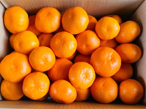 【オープン記念セール！】真穴産 温州みかん 南柑20号 サイズ混合 S～2Lサイズ ５kg  数量限定（サイズ指定不可）
まあな