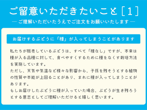■訳あり■冬に味わうシャインマスカット！低温貯蔵２房セット