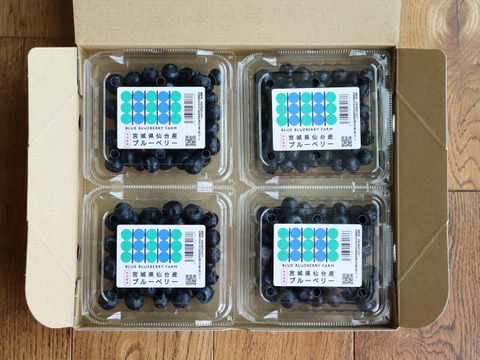 農薬不使用｜仙台市秋保産ブルーベリー｜120ｇｘ4パック合計480ｇ｜化粧箱冷蔵配送