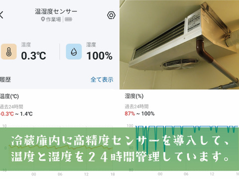 ■低温貯蔵■冬に味わうシャインマスカット２房セット