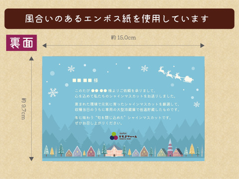 ■低温貯蔵■冬に味わうシャインマスカット２房セット