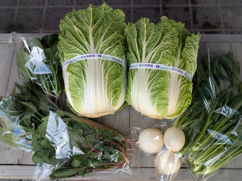 京の冬野菜セット【漢方栽培】