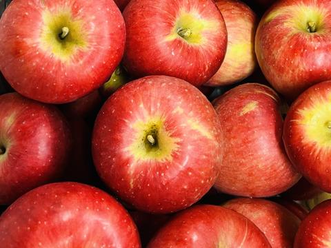 終わります！【幻の林檎】奥州ロマン　りんごの概念変わります。３キロ箱　〜15玉　商品ID52109 ⚠︎中玉、大玉終わりました！