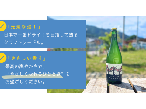 【ギフト｜御祝｜誕生日】G7広島サミット使用商品りんごジュース／スキッと爽やかなクラフトシードル（熨斗対応可）
