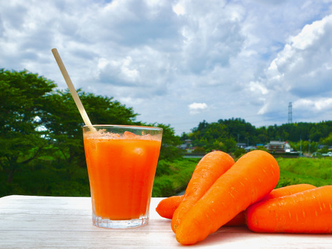 サイズいろいろ有機人参サイズMIX 5kg入り